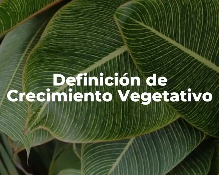 Definición de Crecimiento Vegetativo