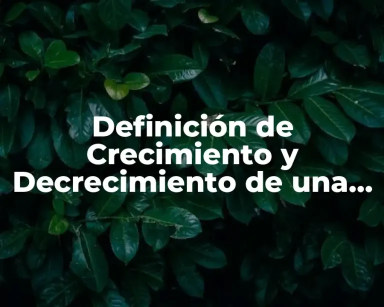 Definición de Crecimiento y Decrecimiento de una Función