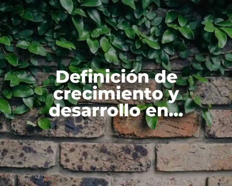 Definición de crecimiento y desarrollo en enfermería