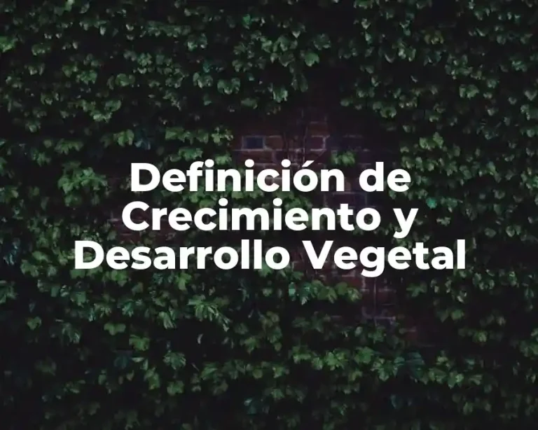 Definición de Crecimiento y Desarrollo Vegetal