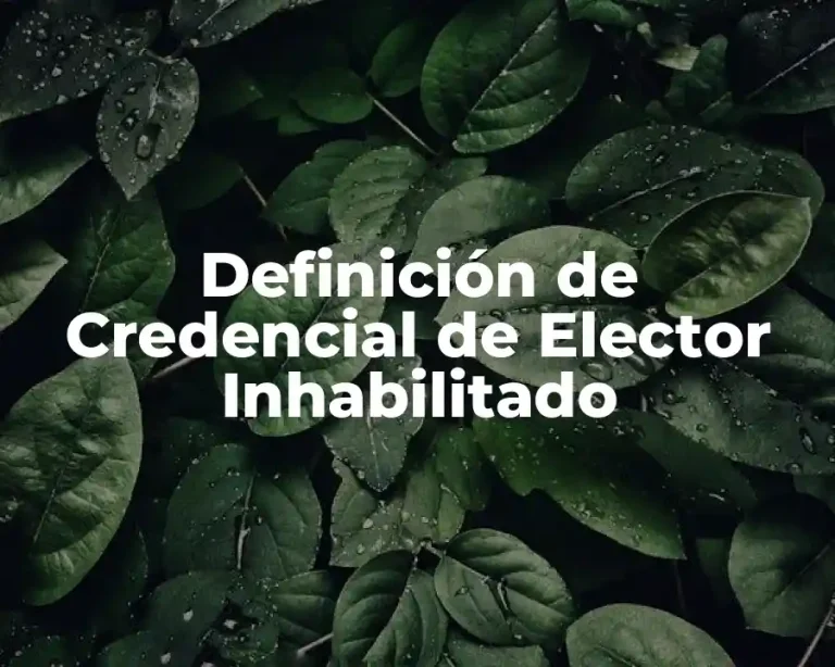 Definición de Credencial de Elector Inhabilitado