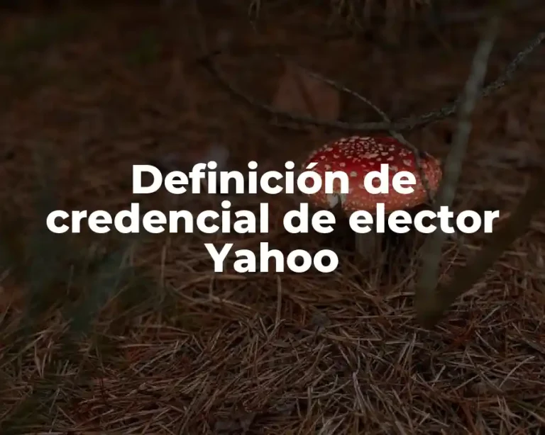 Definición de credencial de elector Yahoo