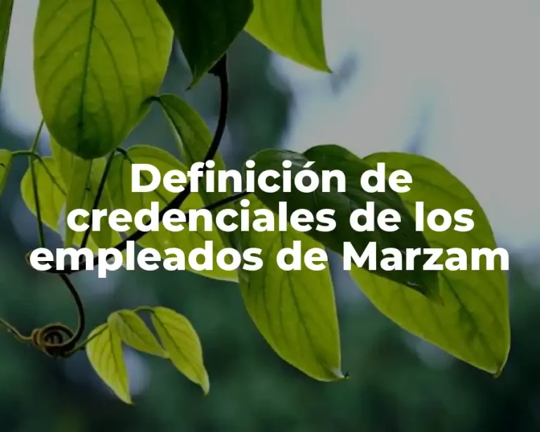 Definición de credenciales de los empleados de Marzam