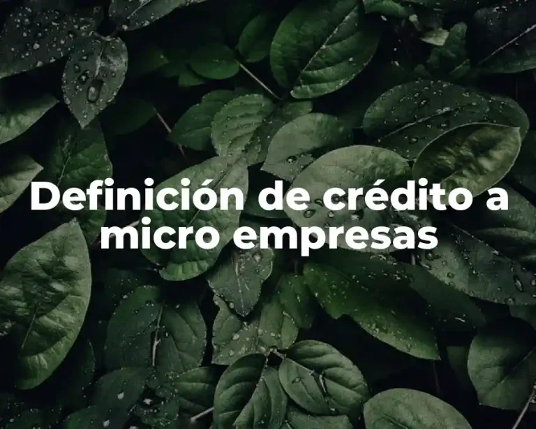 Definición de crédito a micro empresas