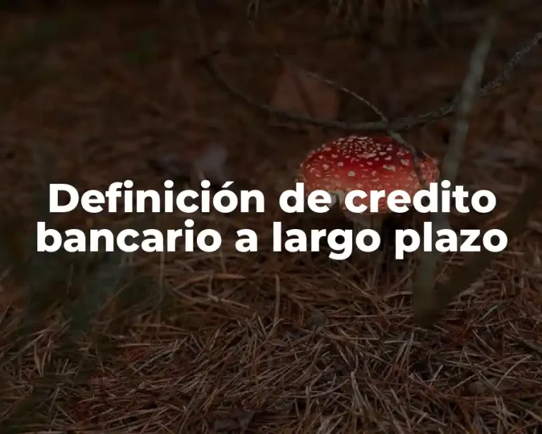 Definición de credito bancario a largo plazo