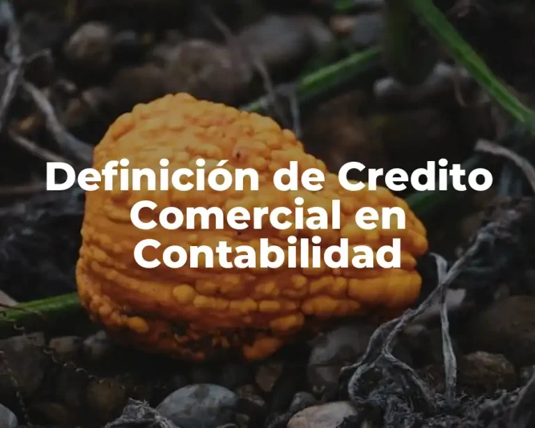 Definición de Credito Comercial en Contabilidad