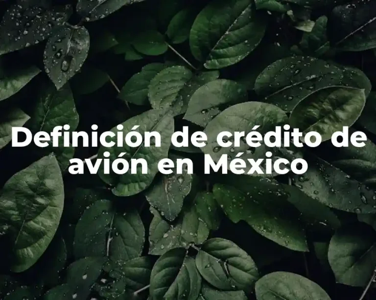 Definición de crédito de avión en México