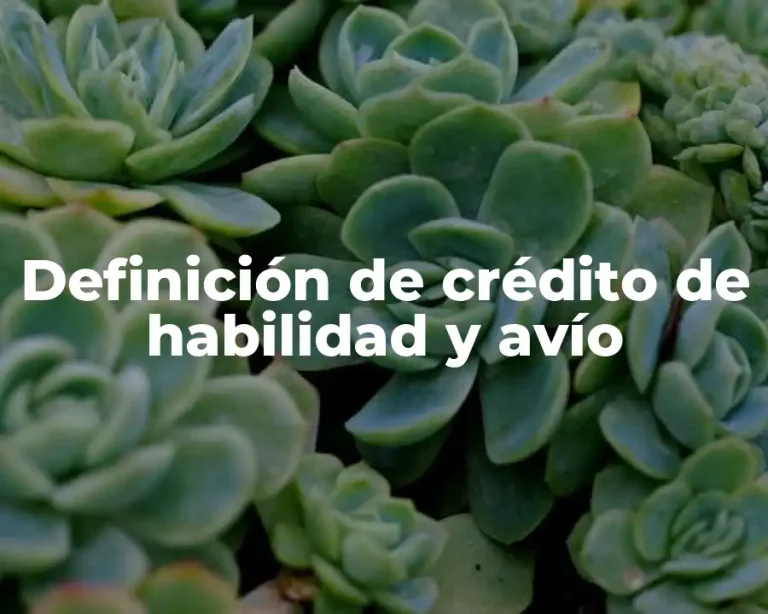 Definición de crédito de habilidad y avío