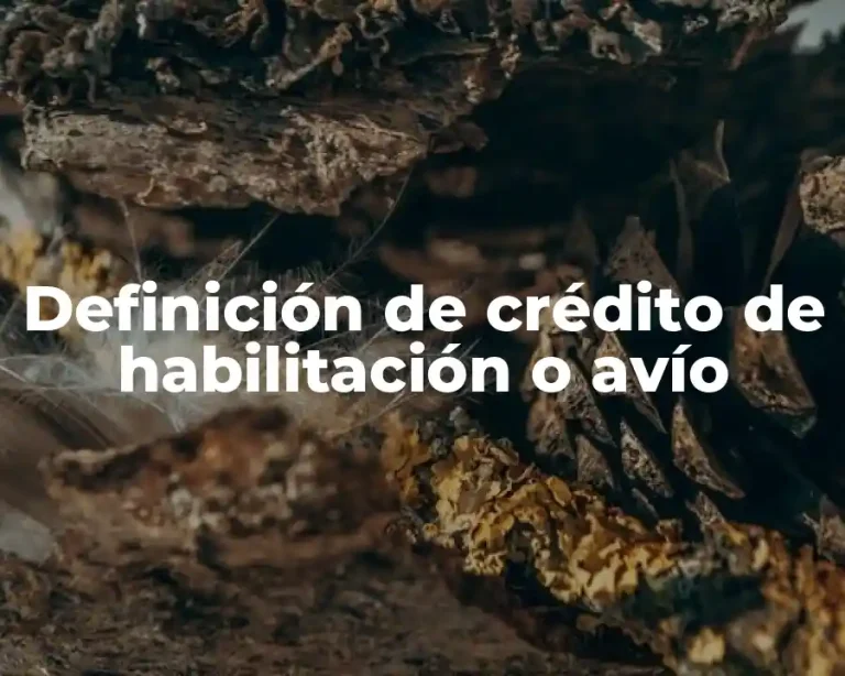 Definición de crédito de habilitación o avío
