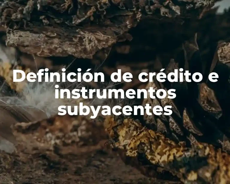 Definición de crédito e instrumentos subyacentes