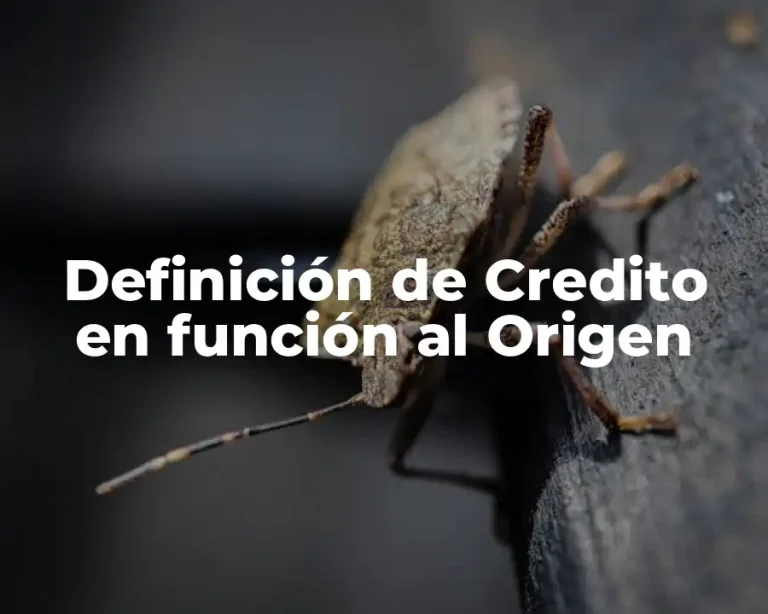 Definición de Credito en función al Origen