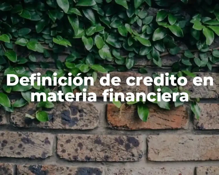 Definición de credito en materia financiera