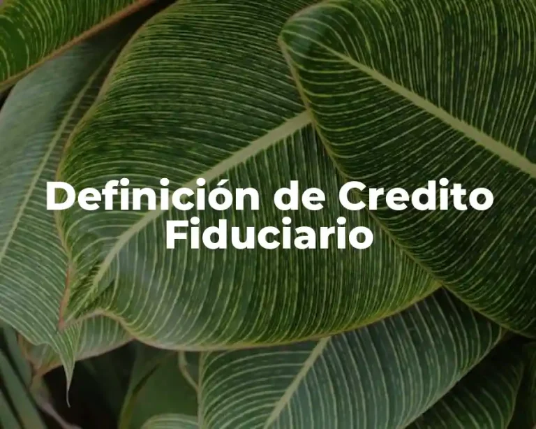 Definición de Credito Fiduciario