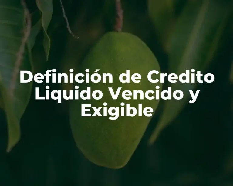 Definición de Credito Liquido Vencido y Exigible