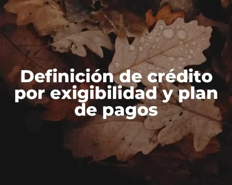 Definición de crédito por exigibilidad y plan de pagos