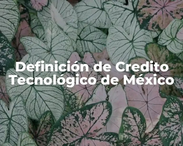 Definición de Credito Tecnológico de México