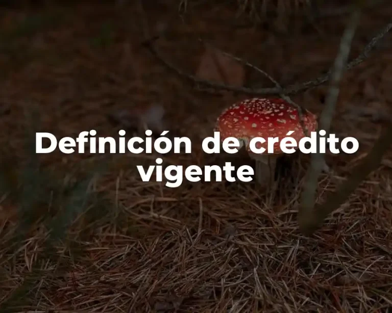Definición de crédito vigente