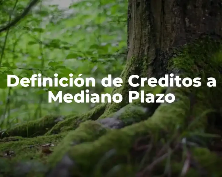 Definición de Creditos a Mediano Plazo