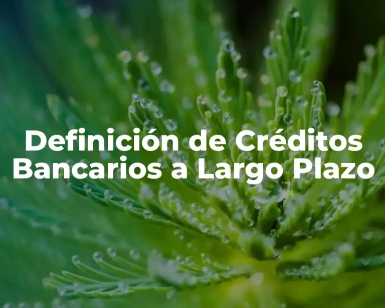 Definición de Créditos Bancarios a Largo Plazo