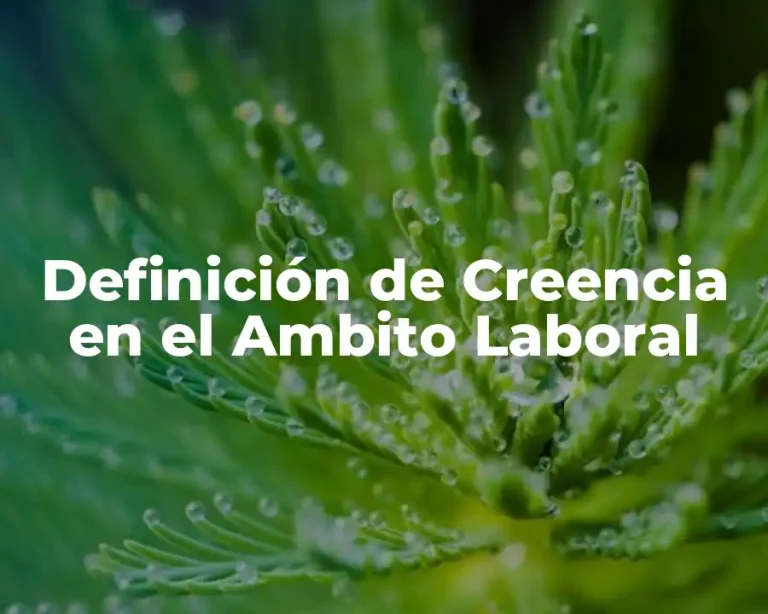 Definición de Creencia en el Ambito Laboral