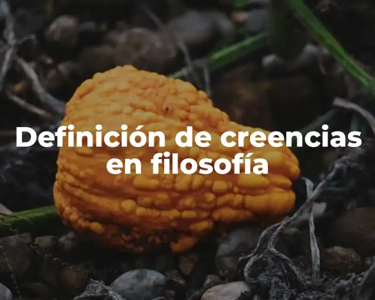 Definición de creencias en filosofía