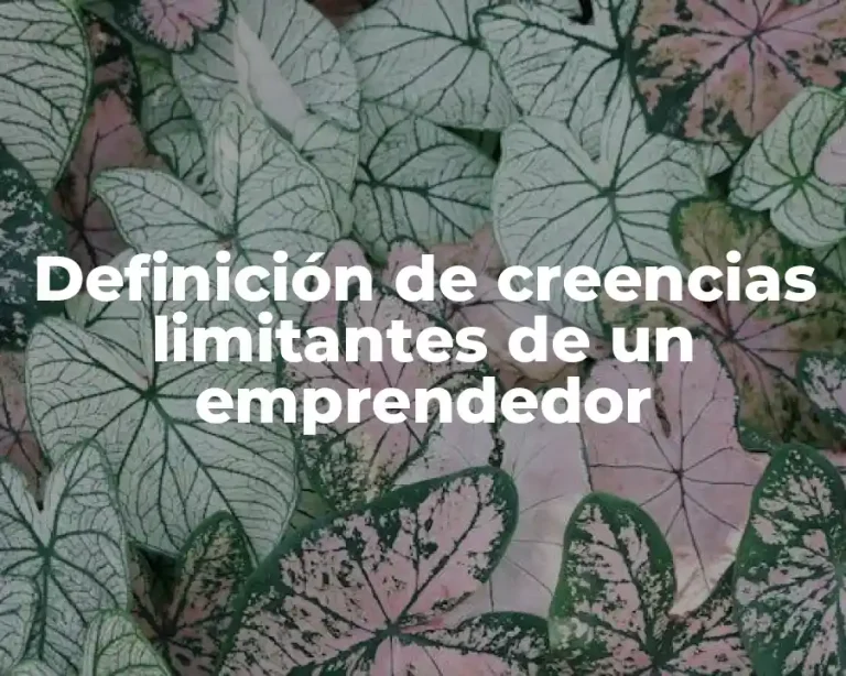 Definición de creencias limitantes de un emprendedor