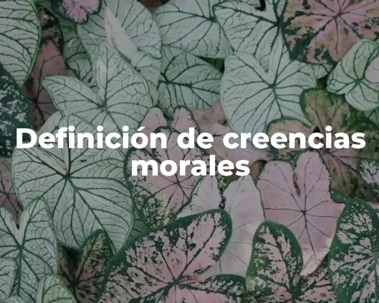 Definición de creencias morales