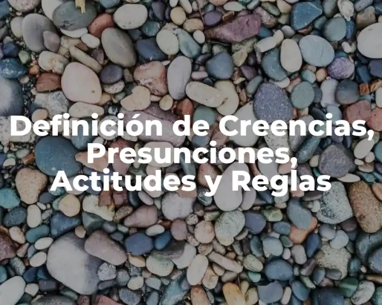 Definición de Creencias, Presunciones, Actitudes y Reglas