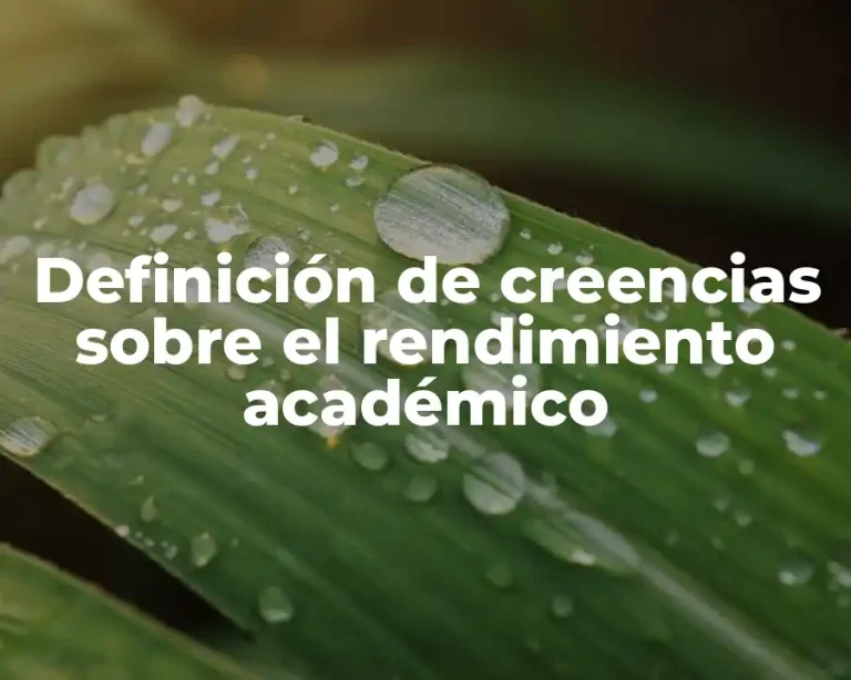 Definición de creencias sobre el rendimiento académico