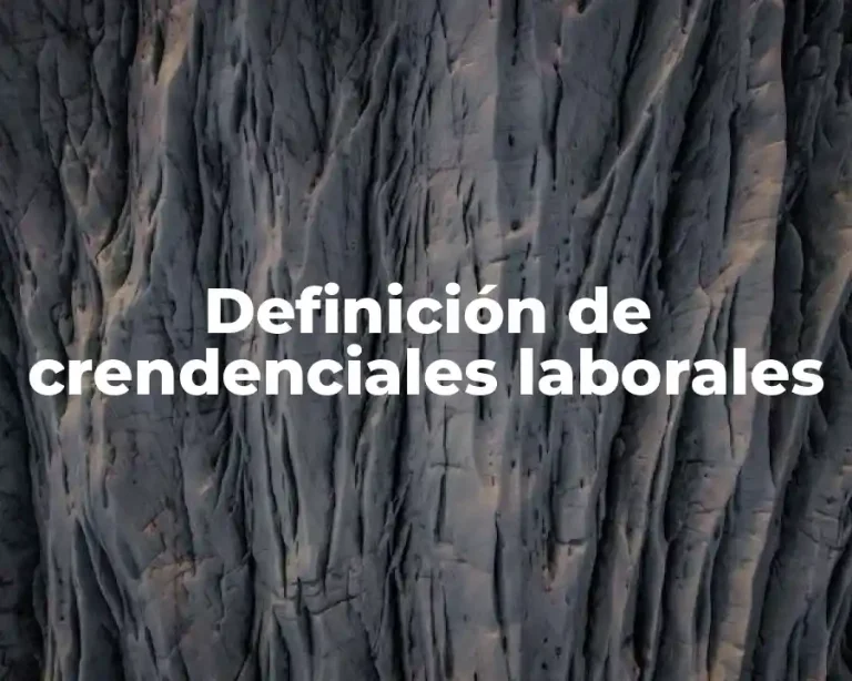 Definición de crendenciales laborales