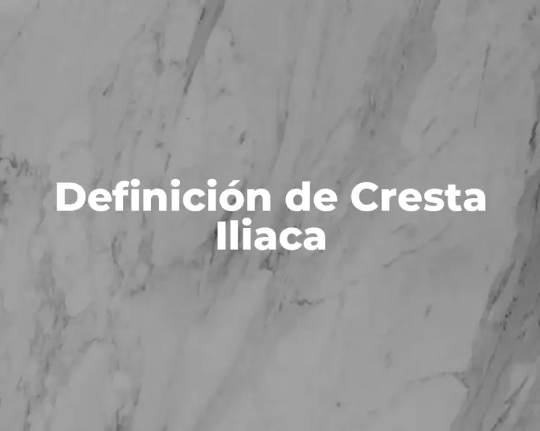 Definición de Cresta Iliaca