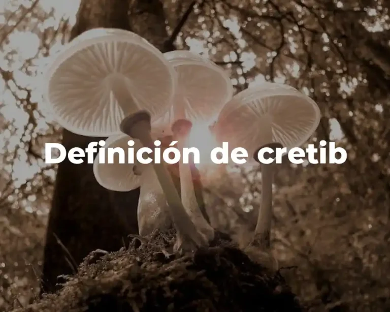 Definición de cretib