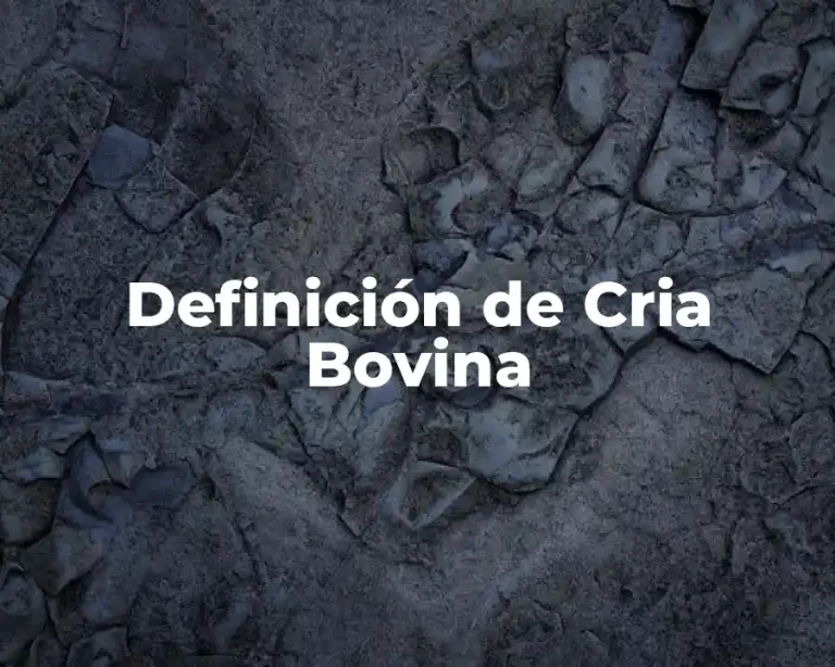 Definición de Cria Bovina