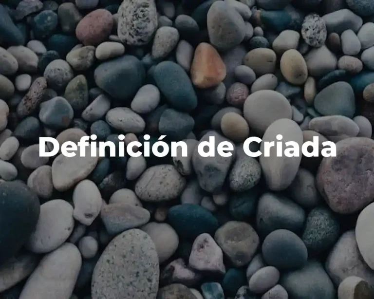 Definición de Criada