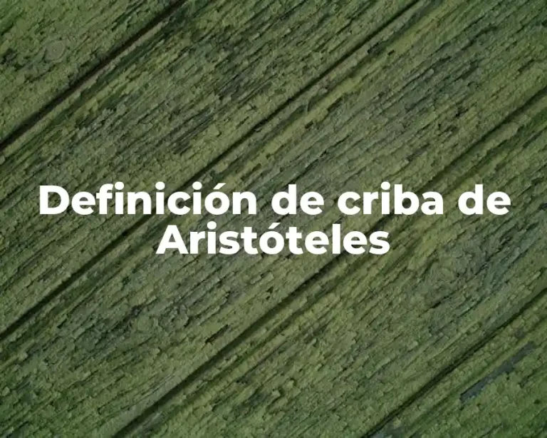 Definición de criba de Aristóteles
