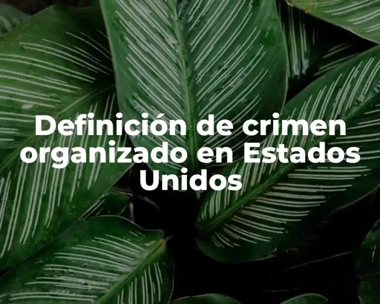 Definición de crimen organizado en Estados Unidos