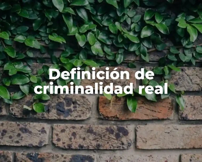 Definición de criminalidad real