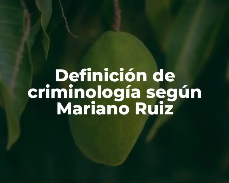 Definición de criminología según Mariano Ruiz
