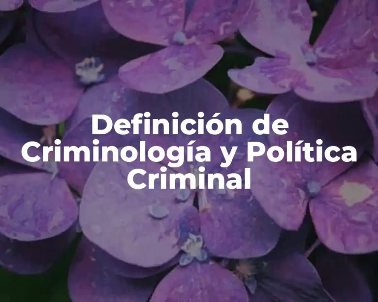 Definición de Criminología y Política Criminal