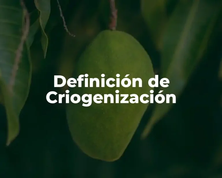 Definición de Criogenización