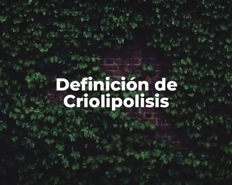 Definición de Criolipolisis
