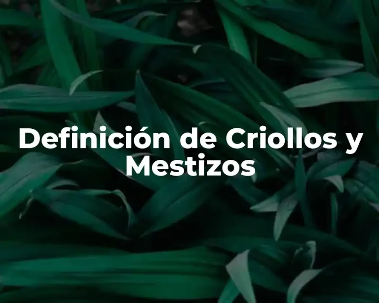Definición de Criollos y Mestizos