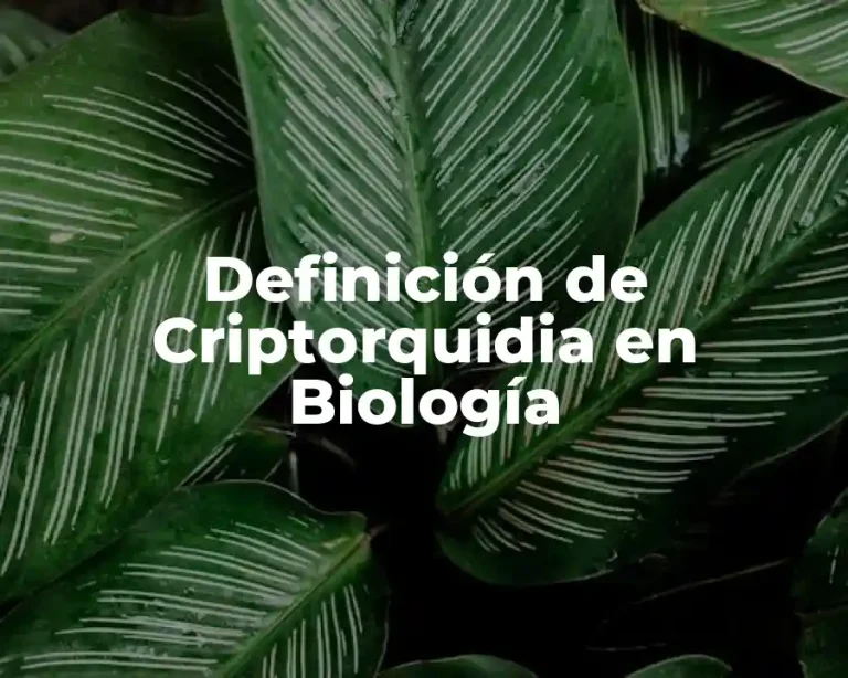 Definición de Criptorquidia en Biología