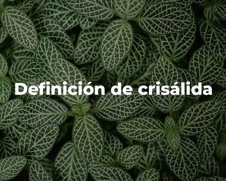 Definición de crisálida