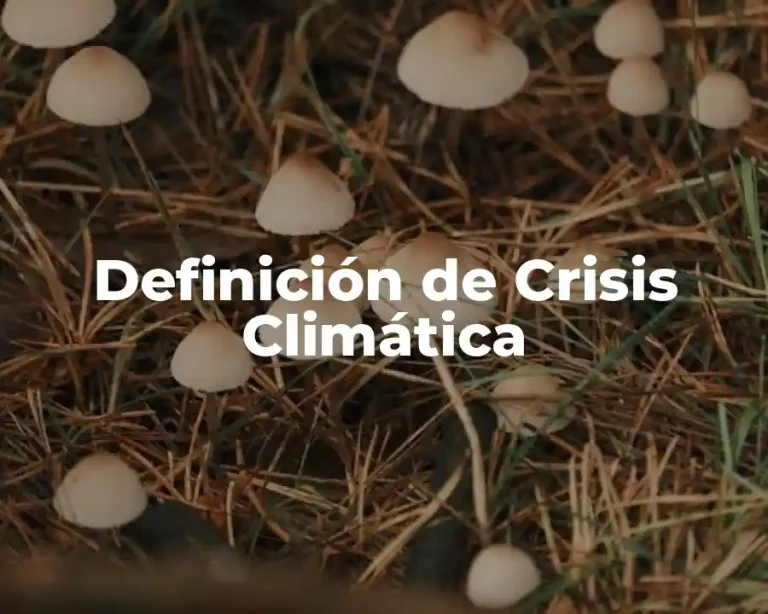 Definición de Crisis Climática