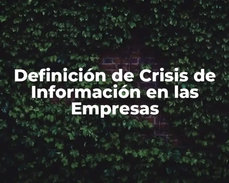 Definición de Crisis de Información en las Empresas