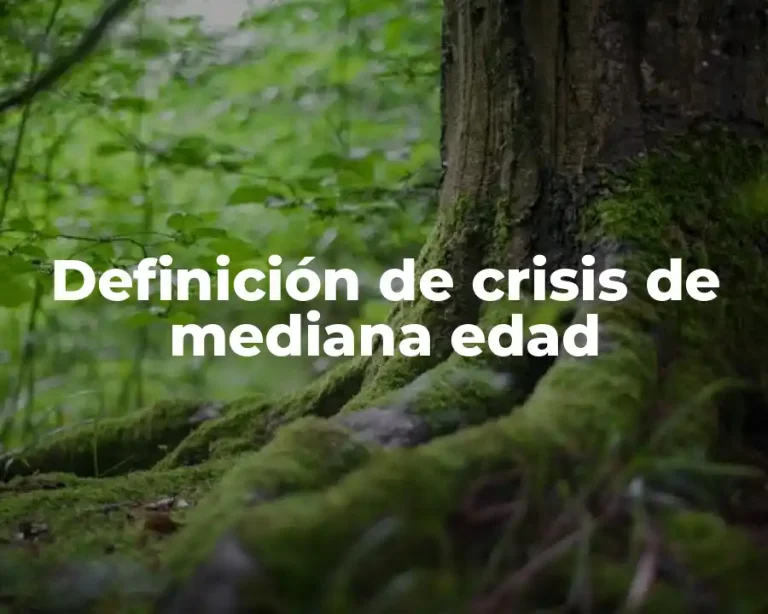 Definición de crisis de mediana edad