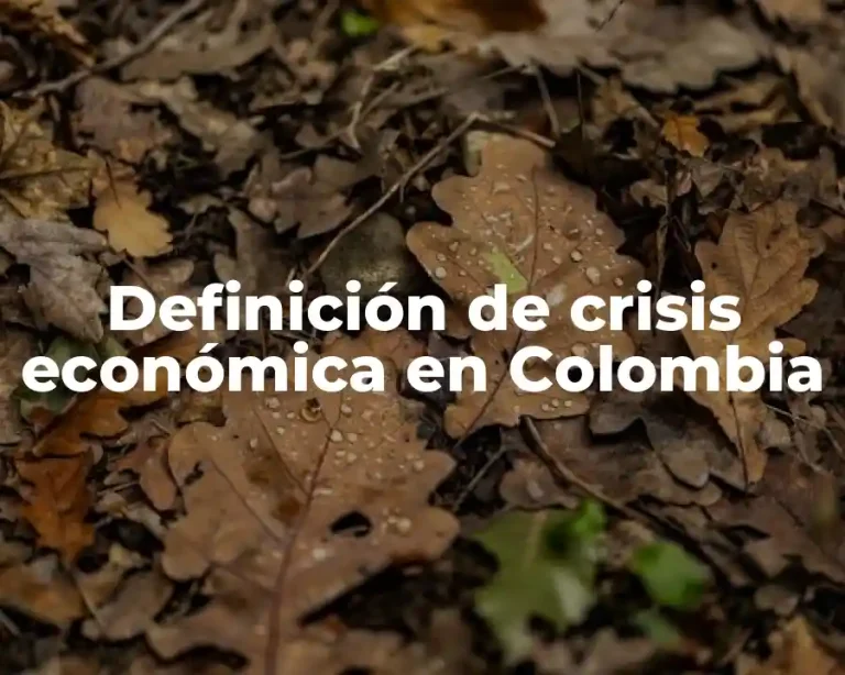 Definición de crisis económica en Colombia