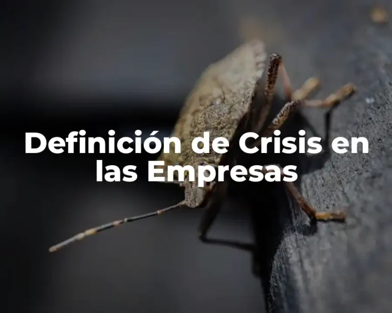 Definición de Crisis en las Empresas