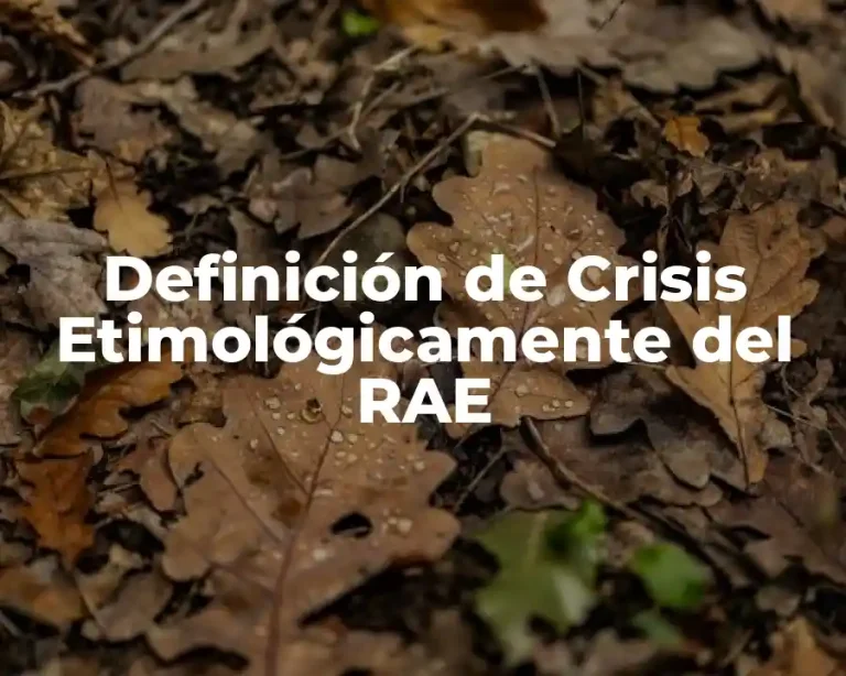 Definición de Crisis Etimológicamente del RAE